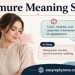Demure Meaning Slang