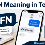 FN Meaning in Text