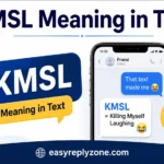 KMSL Meaning in Text
